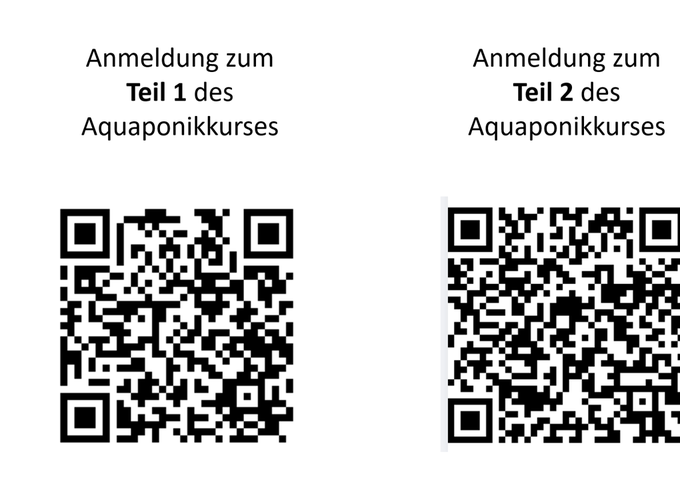 2027_Aquaponikkurs_beide QR Codes_Webseite