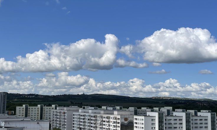 2506_Beitrag kl. Einblick