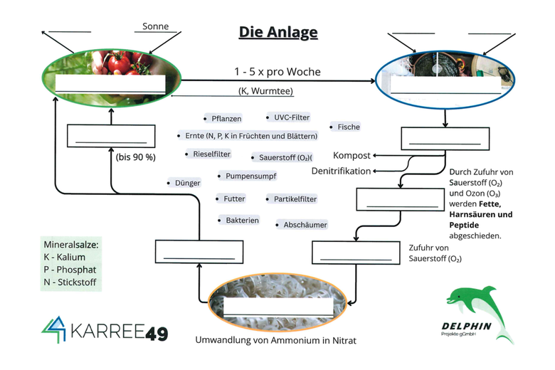 Arbeitsblatt Aquaponikanlage