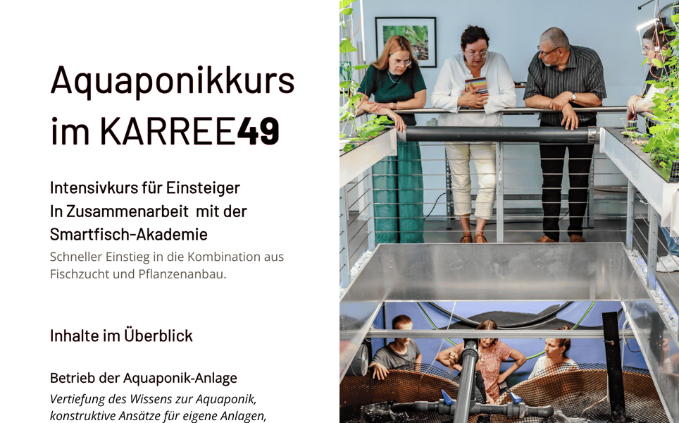 Beitrag 2_2604