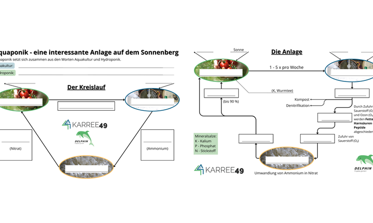 Beitrag 3_0424