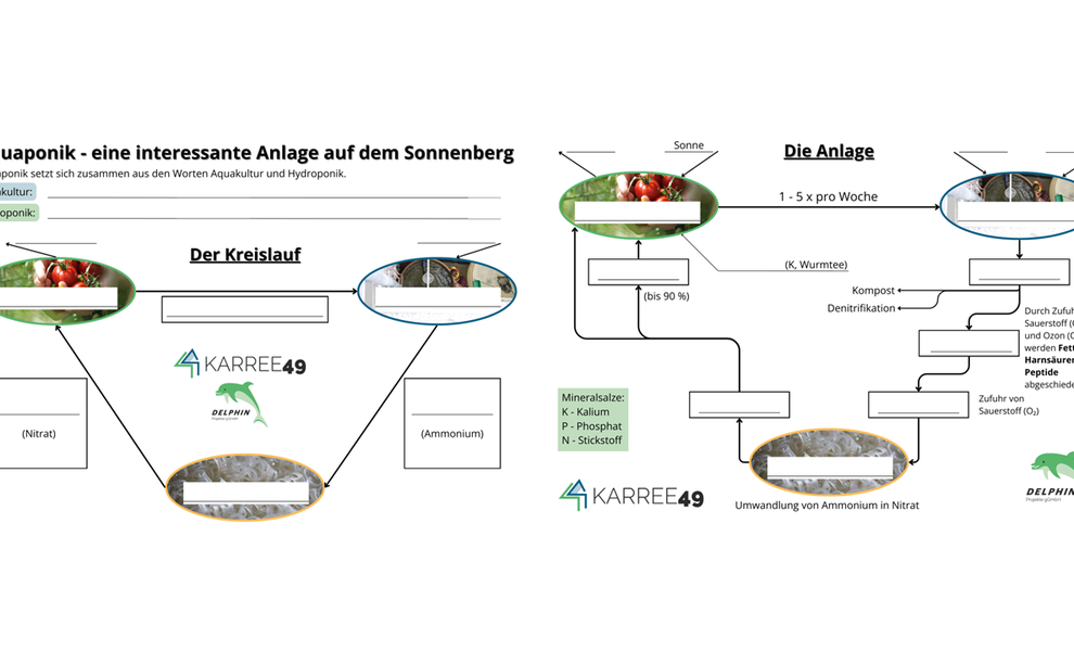 Beitrag 3_0424