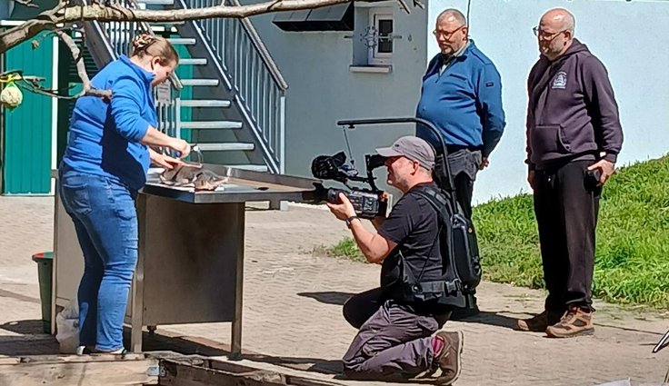 Beitrag 3_2603