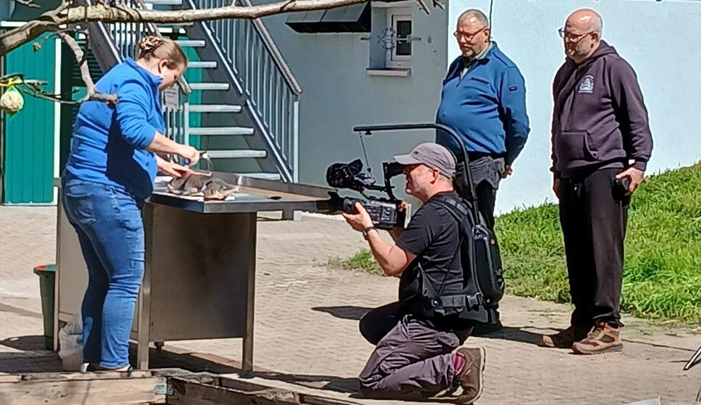Beitrag 3_2603