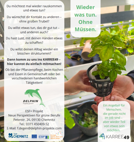 Flyer B11_Bild