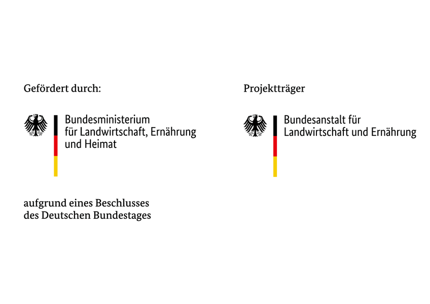 Logos BMLEH
